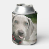 Rafraîchisseur Pour Canette Drôle Chien Sticking Tongue Out Photo (Can devant)