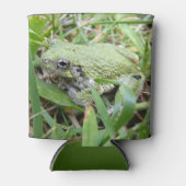 Rafraîchisseur Pour Canette Eastern Grey Treefrog Nature Photography (Devant)