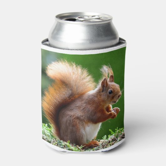 Rafraîchisseur Pour Canette Écureuil (Can devant)