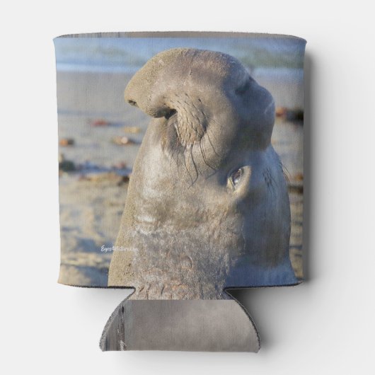 Rafraîchisseur Pour Canette Elephant Seal bull (Dos)