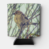 Rafraîchisseur Pour Canette Épervier dans l'arborescence (Devant)