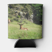 Rafraîchisseur Pour Canette Étiquettes de la Nouvelle-Zélande (Devant)