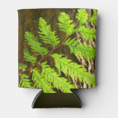 Rafraîchisseur Pour Canette Faits saillants d'un arbre botanique de séquoia (Devant)