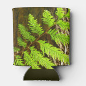 Rafraîchisseur Pour Canette Faits saillants d'un arbre botanique de séquoia (Dos)