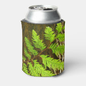Rafraîchisseur Pour Canette Faits saillants d'un arbre botanique de séquoia (Can Dos)