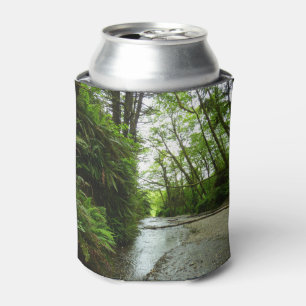 Rafraîchisseur Pour Canette Fern Canyon II au Parc national de Redwood