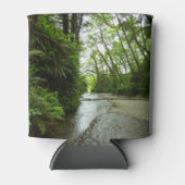 Rafraîchisseur Pour Canette Fern Canyon II au parc national Redwood (Devant)