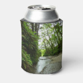 Rafraîchisseur Pour Canette Fern Canyon II au parc national Redwood (Can Dos)