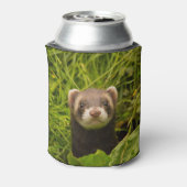 Rafraîchisseur Pour Canette Ferret Brown mignon dans l'herbe photo (Can Dos)