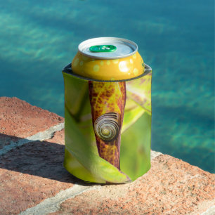 Rafraîchisseur Pour Canette fixation calme