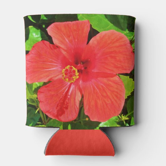 Rafraîchisseur Pour Canette Fleur d'Hibiscus tropical (Dos)