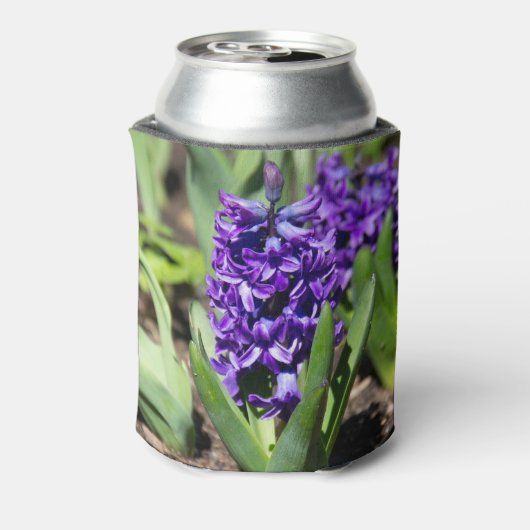 Rafraîchisseur Pour Canette Géocinthe bleu au printemps (Can Dos)