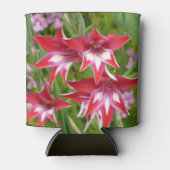 Rafraîchisseur Pour Canette Gladiolas rouge et blanc Botanique d'été (Devant)