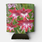 Rafraîchisseur Pour Canette Gladiolas rouge et blanc Botanique d'été (Dos)