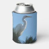 Rafraîchisseur Pour Canette Great Egret dans la Floride ensoleillée (Can Dos)