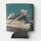 Rafraîchisseur Pour Canette Iguana à St Thomas (Dos)