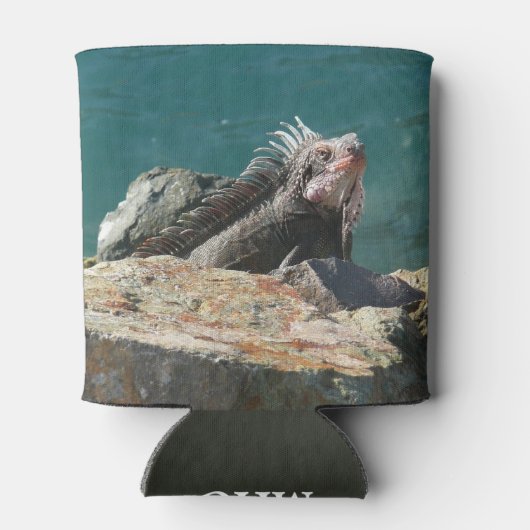 Rafraîchisseur Pour Canette Iguana à St Thomas (Dos)