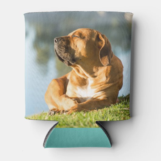 Rafraîchisseur Pour Canette Il est temps de refroidir ! (Devant)