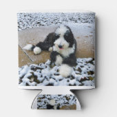 RAFRAÎCHISSEUR  POUR CANETTE IMG_9916 (Dos)