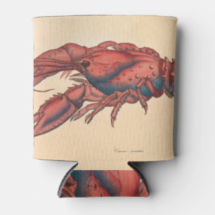 Rafraîchisseur Pour Canette James Sowerby  Homard dentelé   