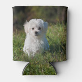 Rafraîchisseur Pour Canette Joli chiot blanc (Devant)