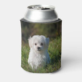 Rafraîchisseur Pour Canette Joli chiot blanc (Can Dos)