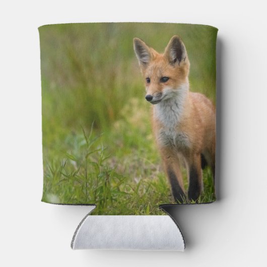 Rafraîchisseur Pour Canette Kit Renard Rouge Dans Pré Grassy (Dos)