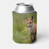 Rafraîchisseur Pour Canette Kit Renard Rouge Dans Pré Grassy (Can Dos)