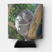 Rafraîchisseur Pour Canette Koala dormant dans l'arbre (Devant)