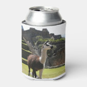 Rafraîchisseur Pour Canette Llama Sauvage Près Des Ruines (Can devant)