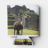 Rafraîchisseur Pour Canette Llama Sauvage Près Des Ruines (Dos)