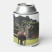 Rafraîchisseur Pour Canette Llama Sauvage Près Des Ruines (Can Dos)