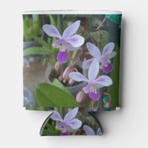 Rafraîchisseur Pour Canette mini orchidées phales