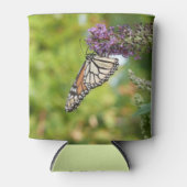 Rafraîchisseur Pour Canette Monarque sur Buddleia (Devant)