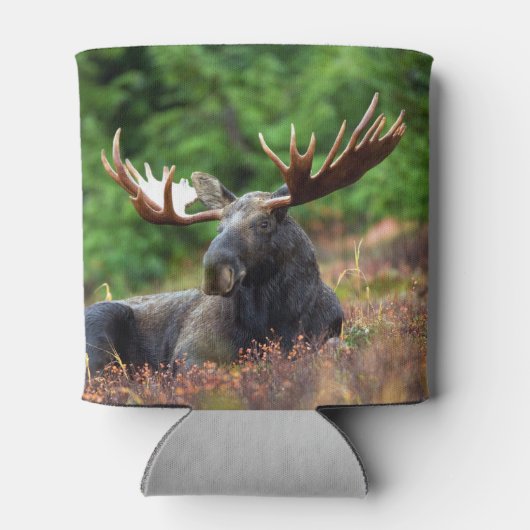 Rafraîchisseur Pour Canette Oie (Dos)