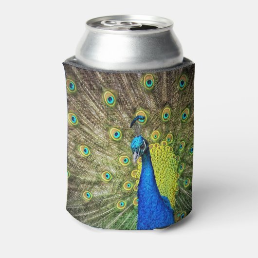 Rafraîchisseur Pour Canette Pacock (Can Dos)