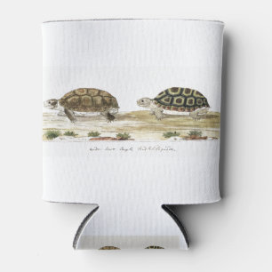 Rafraîchisseur Pour Canette Padloper Tortoise