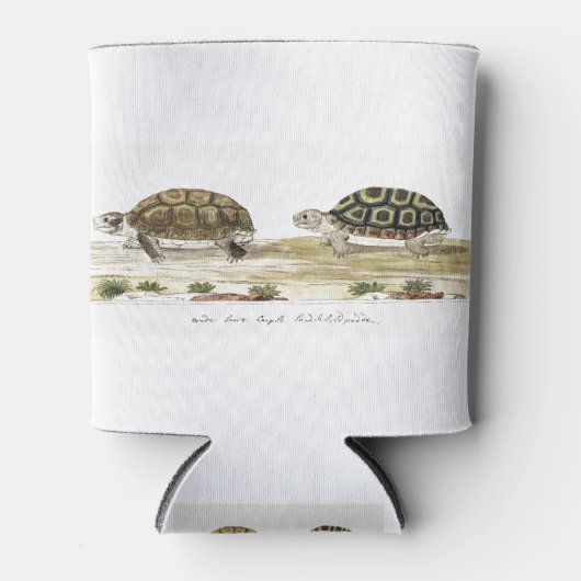 Rafraîchisseur Pour Canette Padloper Tortoise (Devant)