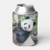 Rafraîchisseur Pour Canette Panda géant dans un arbre peut refroidir (Can devant)
