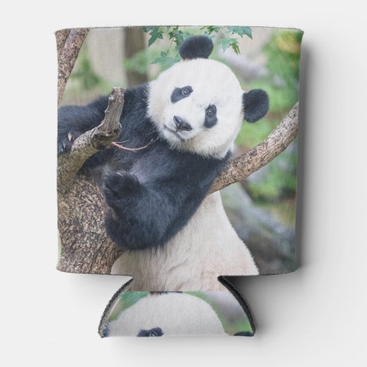 Rafraîchisseur Pour Canette Panda géant dans un arbre peut refroidir (Devant)