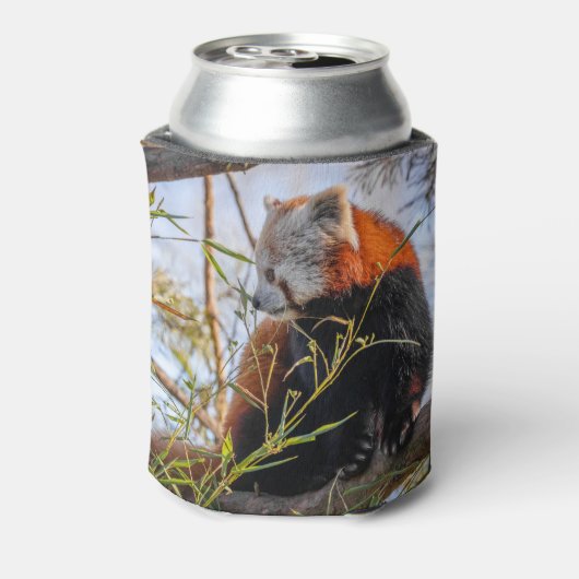 Rafraîchisseur Pour Canette Panda rouge (Can Dos)