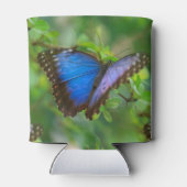 Rafraîchisseur Pour Canette Papillon bleu (Dos)