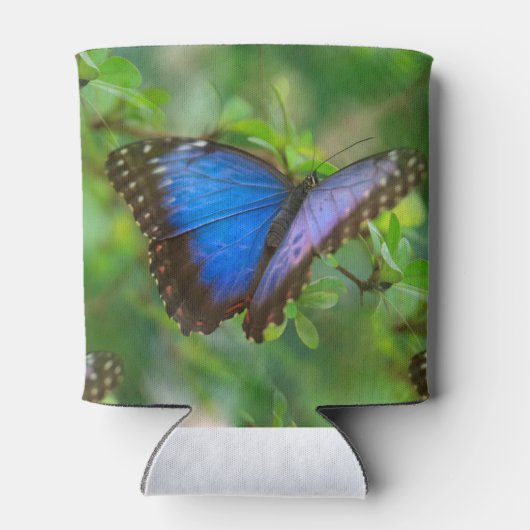 Rafraîchisseur Pour Canette Papillon bleu (Dos)