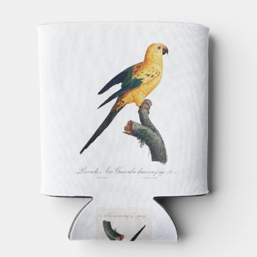 Rafraîchisseur Pour Canette Parakeet Soleil, Aratinga solstitialis (Dos)