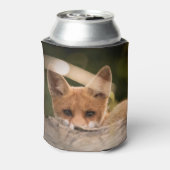 Rafraîchisseur Pour Canette Photo de Cute Little Orange Fox (Can Dos)