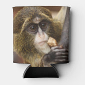 Rafraîchisseur Pour Canette Photo de l'arbre de l'Escalade singe (Devant)