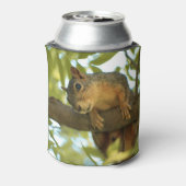 Rafraîchisseur Pour Canette Photo nature d'écureuil mignonne et curieuse (Can Dos)