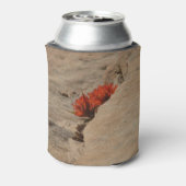 Rafraîchisseur Pour Canette Pinceau indien en roche à Sion (Can Dos)