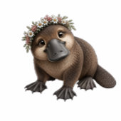 Rafraîchisseur Pour Canette Platypus