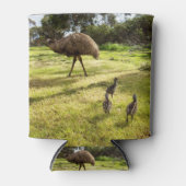 Rafraîchisseur Pour Canette "Plumes et pas de pas : le père Emu avec les poule (Devant)